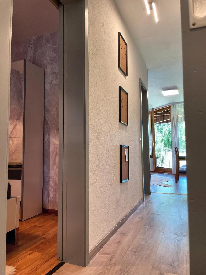 Viktor Apartment ทิทิเซ-นอยชตัดท์ ภายนอก รูปภาพ